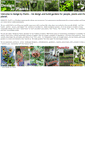 Mobile Screenshot of designbyplants.com